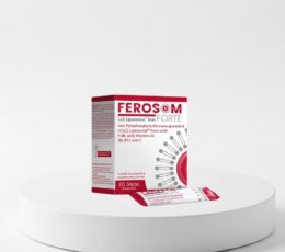 Ferosom Forte Sticks - 20s